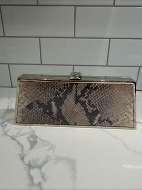 Stuart Weitzman Snake-Print Rectangular Clutch in Snakeskin